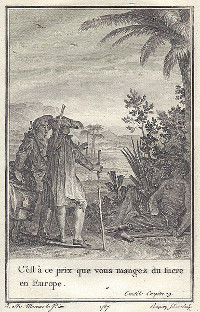 Candide rencontrant un esclave ayant été mutilé (chapitre 19).